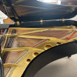1981 Yamaha C7 conservatory grand piano - Grand Pianos